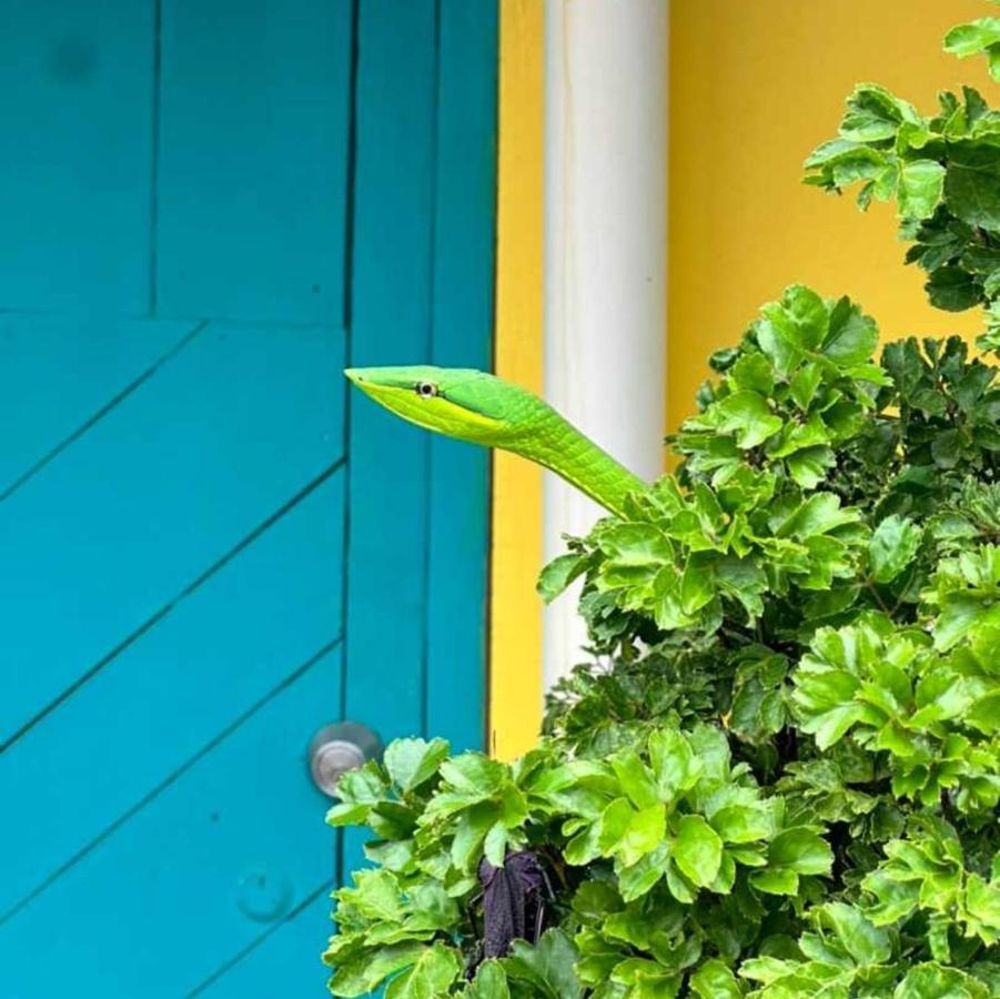 Casa Marbella Villa Tortuguero Eksteriør bilde